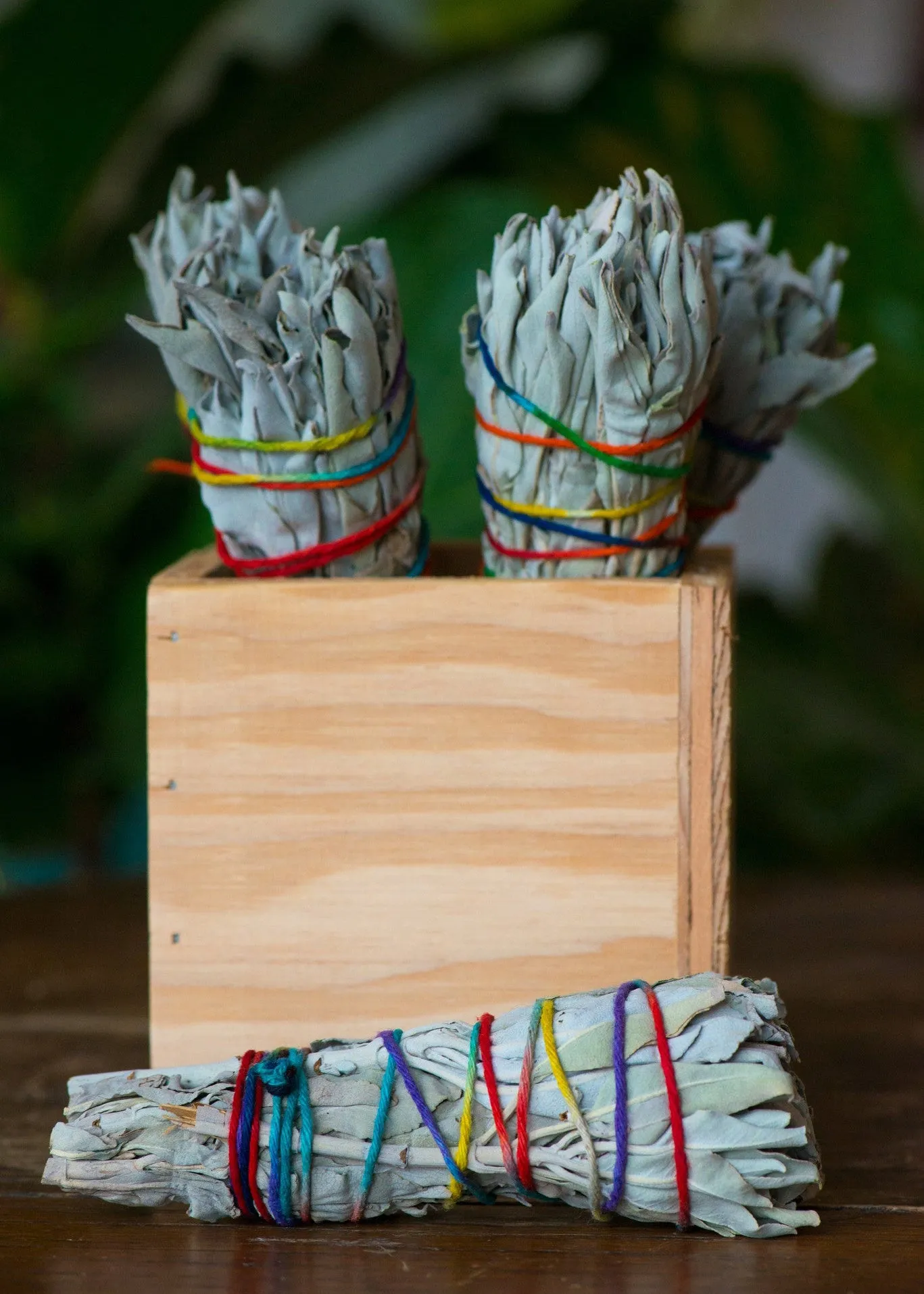 Medium Sage Bundle